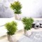 Green 3 Assorted 8" Artificial Faux Cute Crassula Succulent Plants Pots